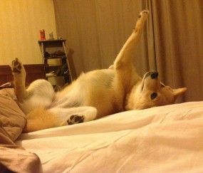 开云官方app入口-欧冠淘汰赛之夜，德罗赞成为全场焦点