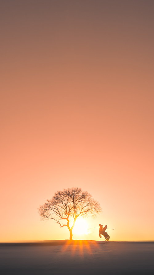 赛道上的防守与进攻,上海队锁死鹮鹮,克莱在F1赛道接管争冠战