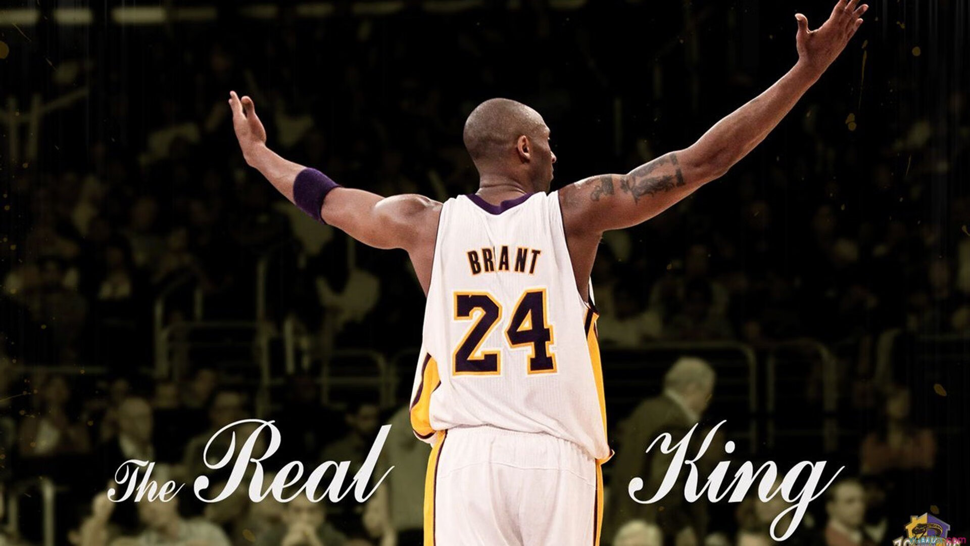 文班亚马的证明之战,压力下的巨星觉醒